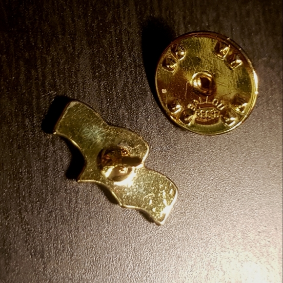 Golden Waves Icon/Logo Pin - Picture 3 of 4